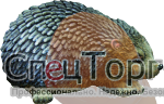 Ежик левый - фото